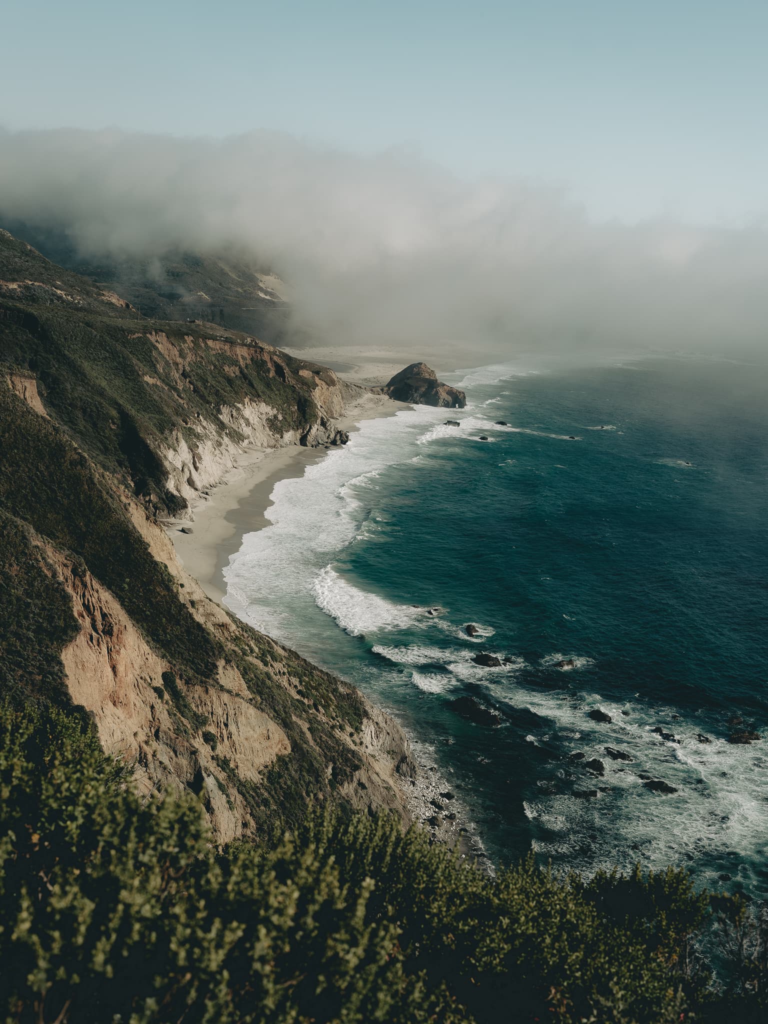 Cliffs of the King Range falling to the Pacific under coastal fog