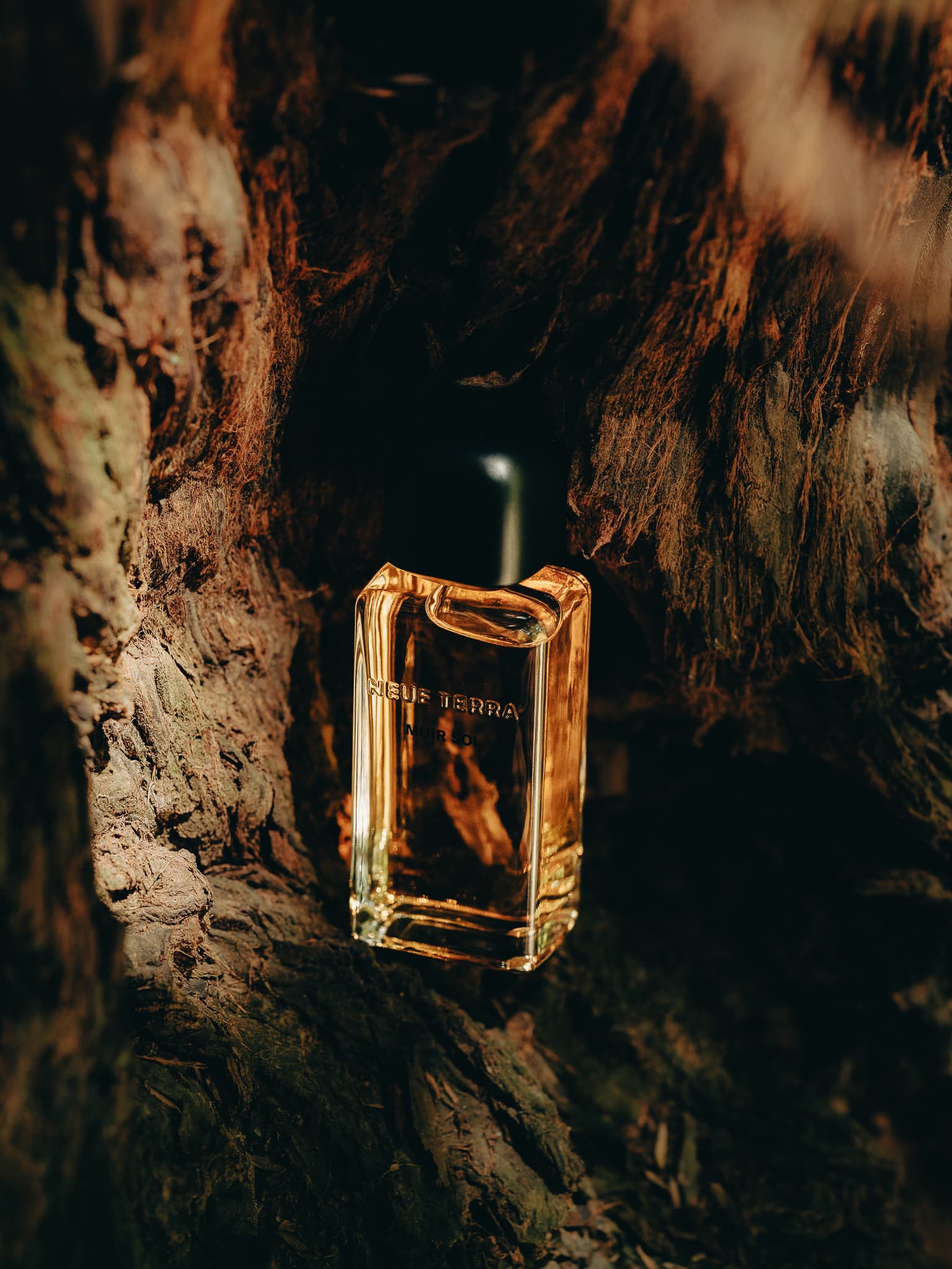 MUIR SOL product photo 2